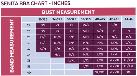 How To Measure Your Bra Size Bra Size Charts Band And Cup 57 Off