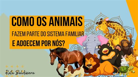 Como Os Animais Fazem Parte Do Sistema Familiar E Adoecem Por N S