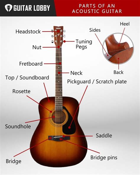 Parts Of An Acoustic Guitar With Diagram And Video 2024 Guitar Lobby