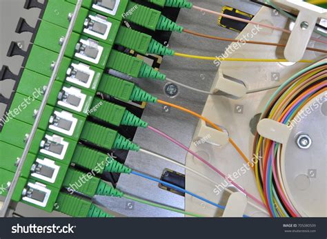 Fiber Optic Splice Cassettes Passive Optical Stock Photo 705080509