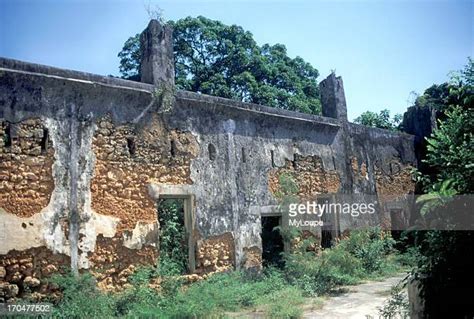 Zanzibar Prison Island Stock Fotos Und Bilder Getty Images