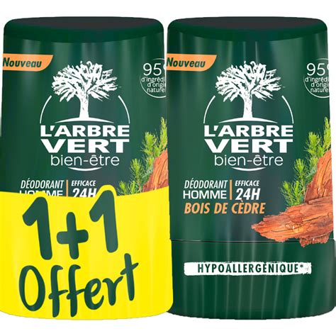 L Arbre Vert D Odorant Stick Homme H Au Bois De C Dre