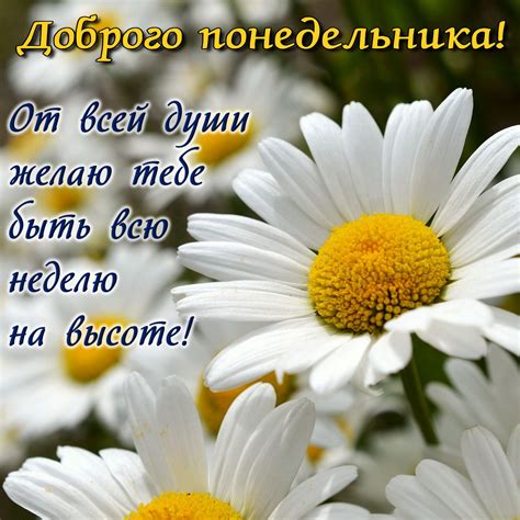 На Понедельник. Красивые открытки и картинки ЛУЧШИЕ ОТКРЫТКИ