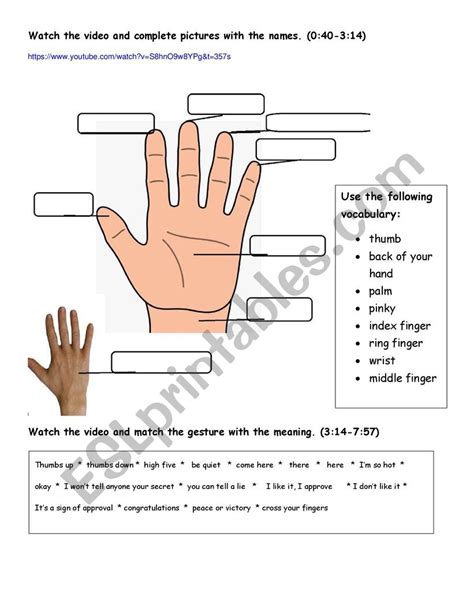 Hand Gestures Esl Worksheet By Aliciabesa