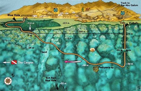 The Blue Hole Red Sea Diving Dahab Dive Sites The Blue Hole