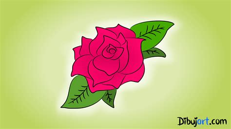 Cómo Dibujar Una Rosa 2 Una Rosa Color Fucsia