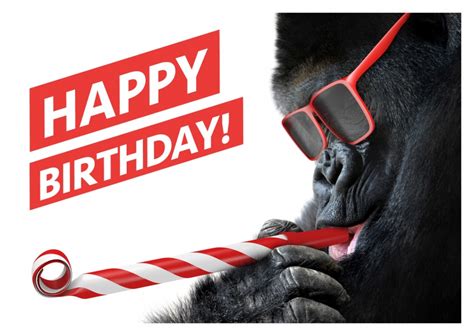 Happy Birthday Gorilla | ubicaciondepersonas.cdmx.gob.mx