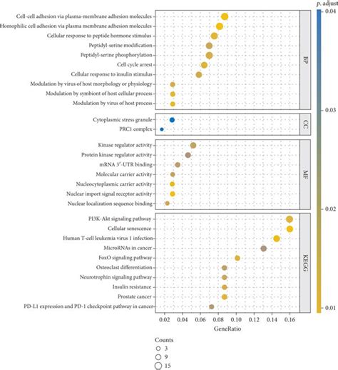 Gene Ontology Go Analysis Of The Target Genes Of Has Mir 181b 5p