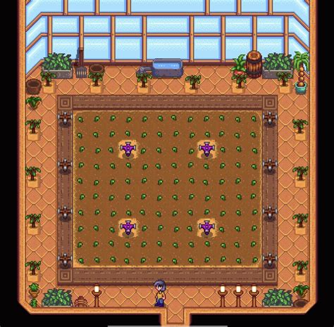 Just Want To Share Symmetrical Sprinkles Positioning In A Greenhouse