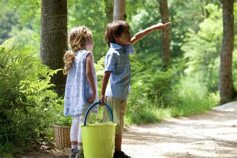 Children Exploring Woods Together Stock Photo Dissolve