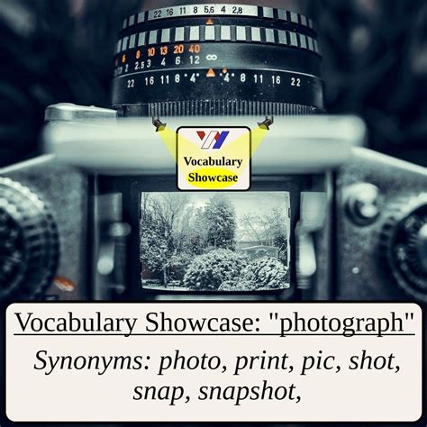 Synonyms For Photograph Vocabulary Showcase Wright English