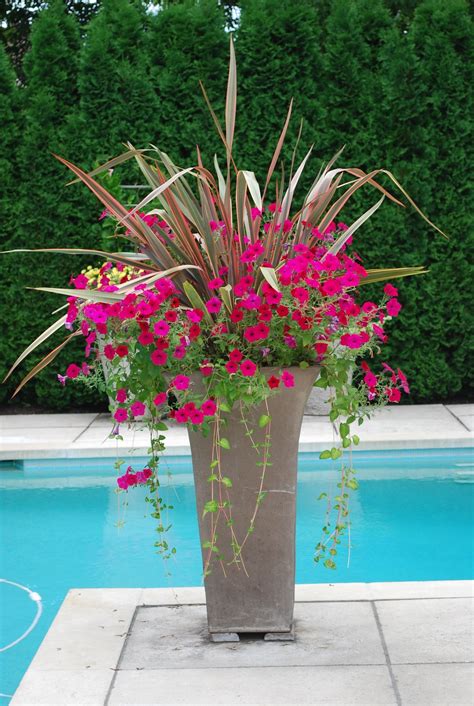 Tall Flower Pots