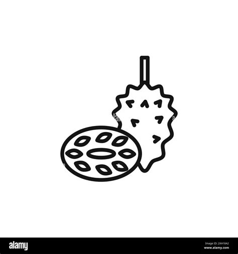 Soursop Icon Logo Sign Vector Outline In Black And White Color Stock