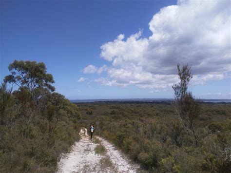 French Island The Pinnacles Walking Maps