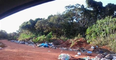 G1 Moradora Denuncia Falta De Coleta E Lixo Acumulado Em Rua De