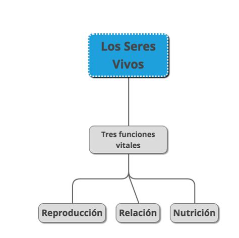 Top Imagen Tipos De Esquemas Y Diagramas Abzlocal Mx