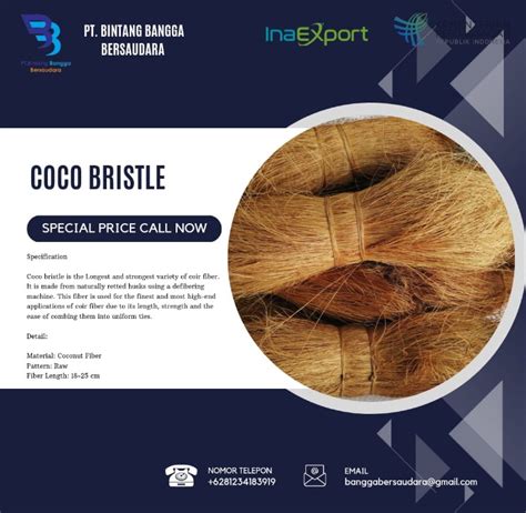 Coco Bristle And Cocofiber Inaexport