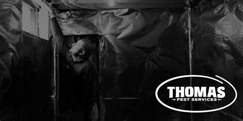 Everything You Need To Know About Termite Damage Ny Pest Control