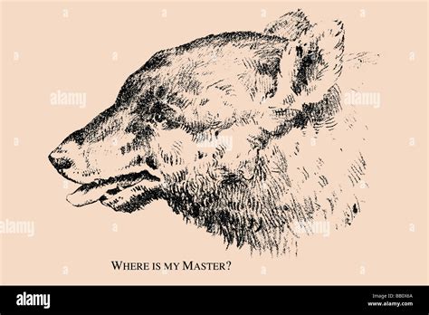 Where is my Master Stock Photo - Alamy