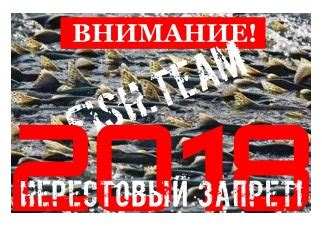 Статьи сообщества Ишимский рыболовный клуб | ВКонтакте