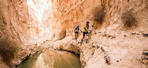 Adventure and Nature Trails in Israel – Lifereport