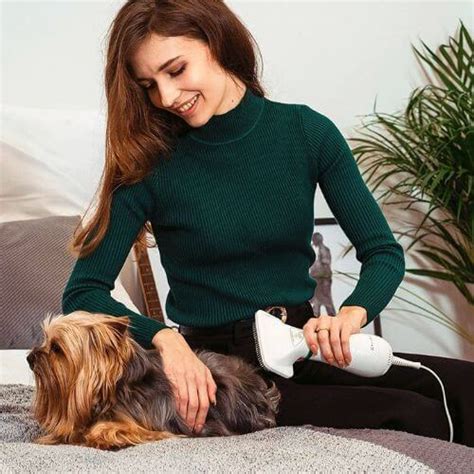 Blowing Hot and Cold: The 6 Best Dog Hair Dryers for Fluffy Family Members