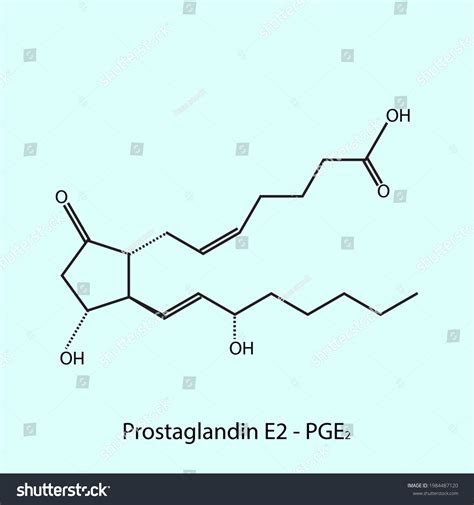 Prostaglandina E2 Fórmula Molecular De Vector De Stock Libre De Regalías 1984487120