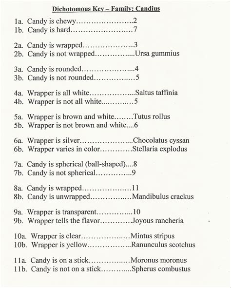 Dichotomous Key Worksheet Pdf Candy Dichotomous Key Dichotomous Key