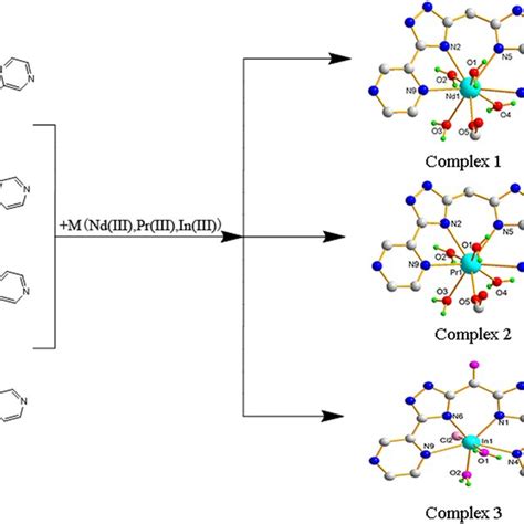 Synthetic Routes And Molecular Structures Of Complexes 13 Some Download Scientific Diagram