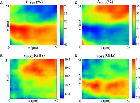 Brillouin Microscopy Of Articular Cartilage Maps Based On A And C