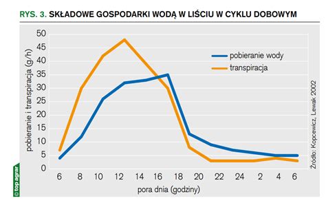 Makroelementy w nawożeniu zbóż W jakich fazach i w jakich dawkach