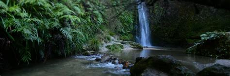 Annual Report 2019 2020 Herenga ā Nuku Aotearoa The Outdoor Access