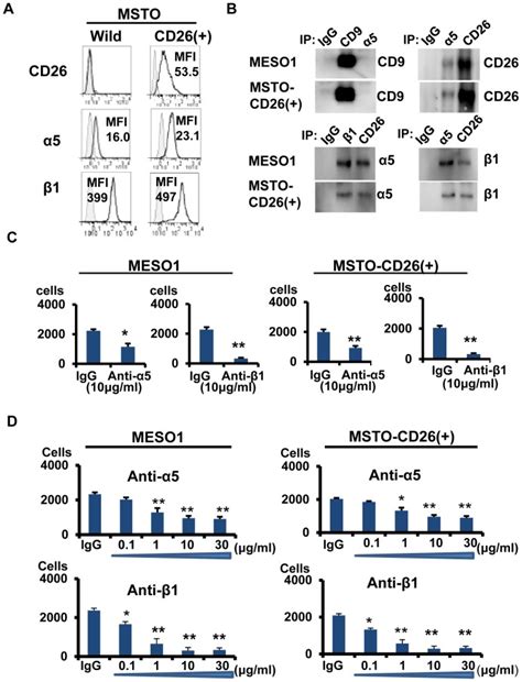 A MSTO Wild MSTO CD26 Cells Were Subjected To Flow Cytometry For