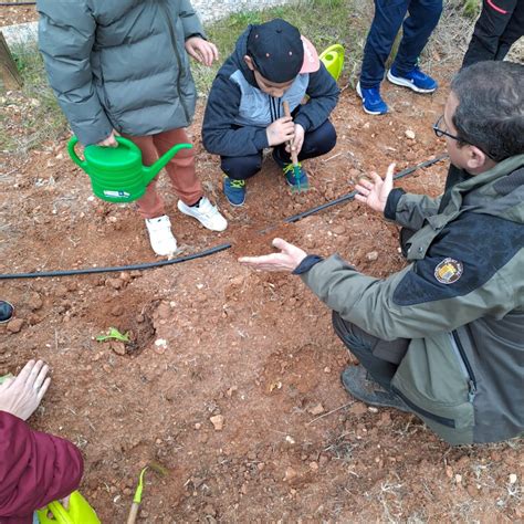 Dia de larbre CEIP NAVARRO DARÁS