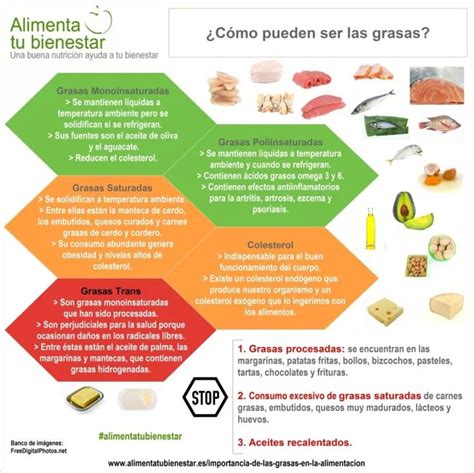 Diferencias Entre Grasas Saturadas Y Grasas Insaturadas Cuadros