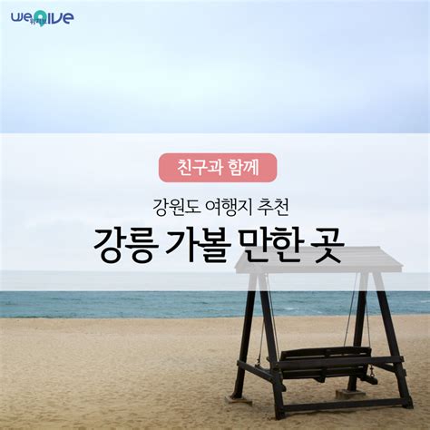 친구와 우정 여행 추천 강릉 명소 Best 5 위기브 Wegive