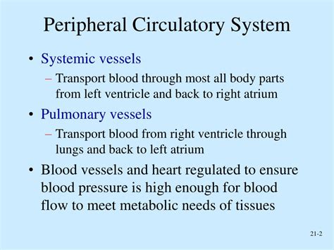 Ppt Peripheral Circulation And Regulation Powerpoint Presentation