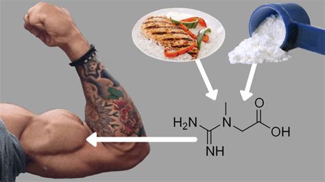 Creatine Essential Muscle Building Supplement • Bodybuilding Wizard