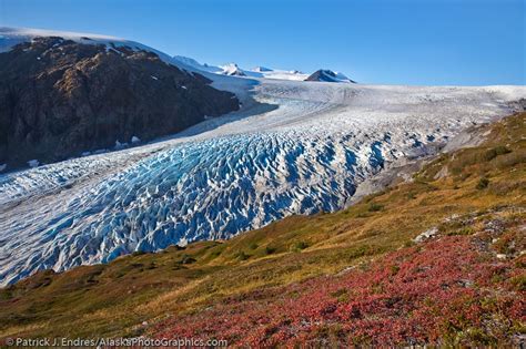 Exit Glacier