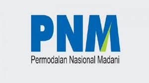 Pembiayaan Pnm Capai Rp Triliun Di