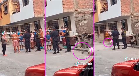 TikTok viral Perú policías intervienen a vecinos pero gigantesca rata