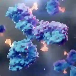 HER2 Status in Breast Cancer: New Data Raise Questions