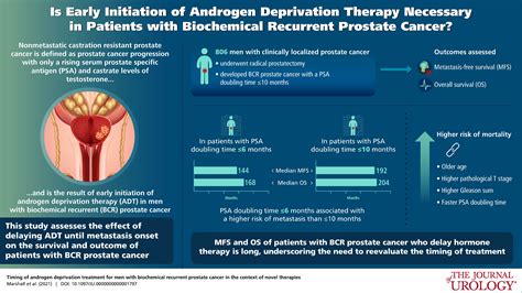 Timing Of Androgen Deprivation Treatment For Men With Biochemical Recurrent Prostate Cancer In