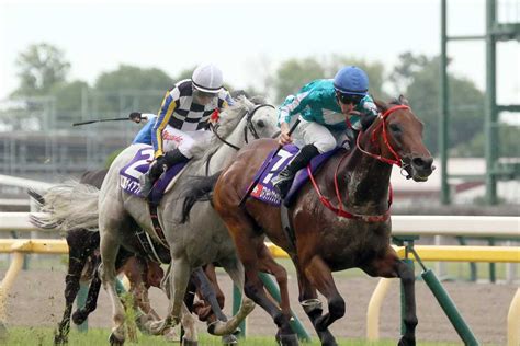 【安田記念】香港最強馬ロマンチックウォリアーが日本馬一蹴！18年ぶりの外国馬制覇｜競馬ニュース｜競馬予想のウマニティ