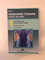 Atlante Tascabile Di Anatomia Umana Apparato Locomotore Vol 1