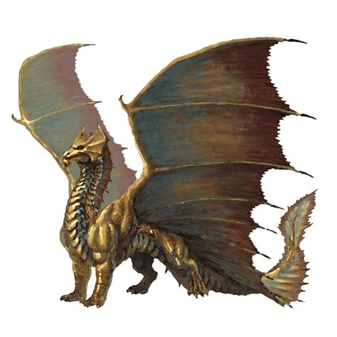 Brass Dragon Species In Numidius World Anvil