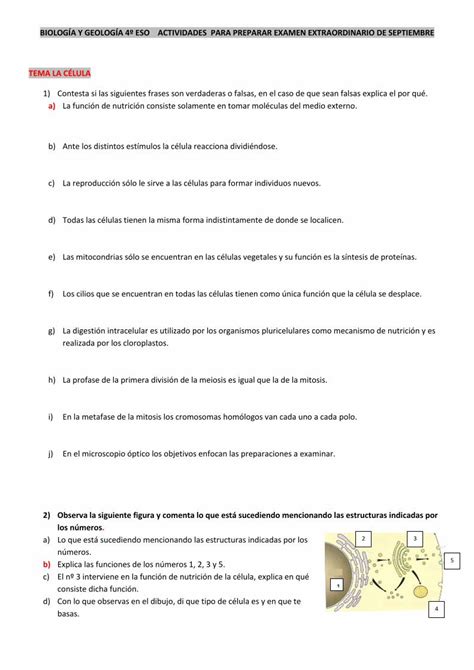 PDF BIOLOGÍA Y GEOLOGÍA 4º ESO ACTIVIDADES PARA PDF filebiologÍa y