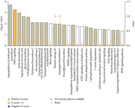 Canonical Pathways Enriched By DEGs Based On IPA A Significant