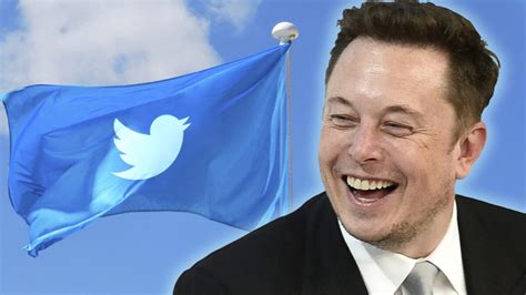 Why is Elon Musk asking Twitter users for help? - Royals Blue