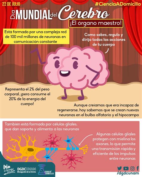 Divulgación de la Ciencia UNAM on Twitter Uno de nuestros días